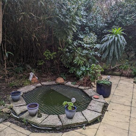The Garden Apartment St Ives Dış mekan fotoğraf