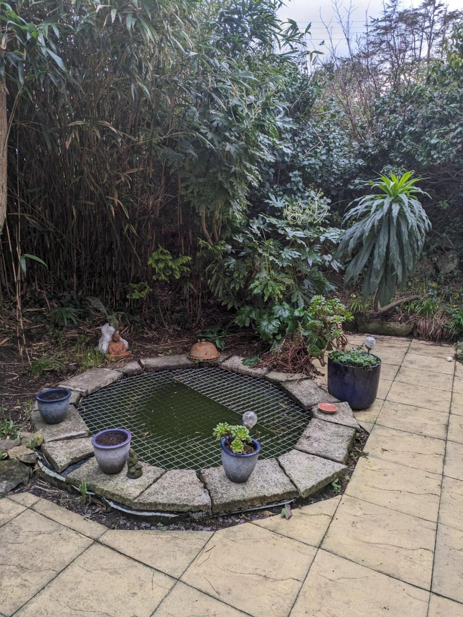 The Garden Apartment St Ives Dış mekan fotoğraf